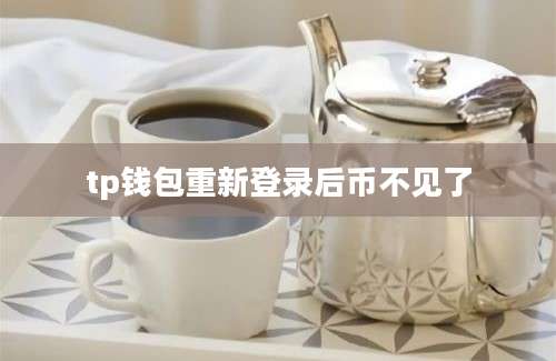 tp钱包重新登录后币不见了