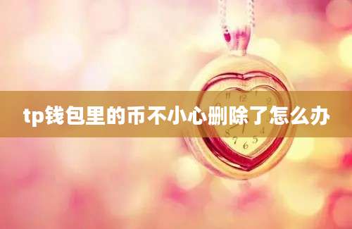 tp钱包里的币不小心删除了怎么办