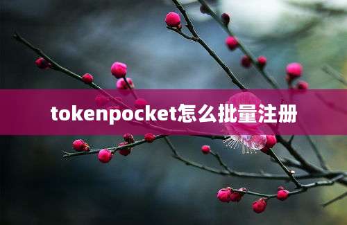 tokenpocket怎么批量注册