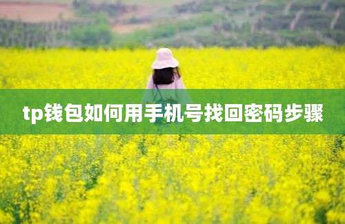 tp钱包如何用手机号找回密码步骤
