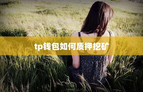 tp钱包如何质押挖矿