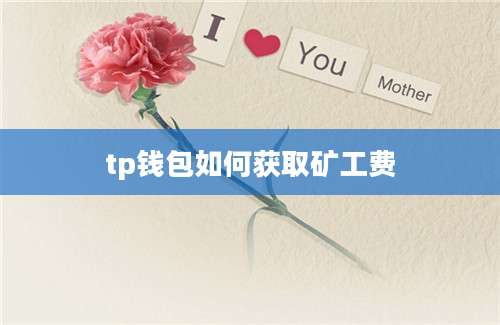 tp钱包如何获取矿工费