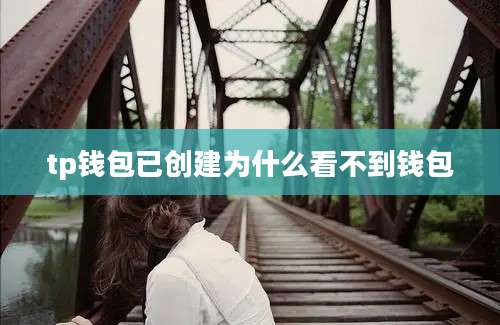 tp钱包已创建为什么看不到钱包