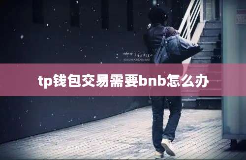 tp钱包交易需要bnb怎么办
