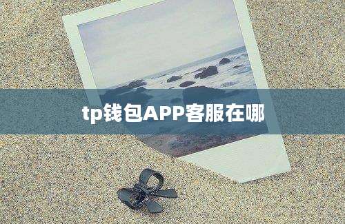 tp钱包APP客服在哪