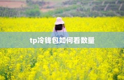 tp冷钱包如何看数量