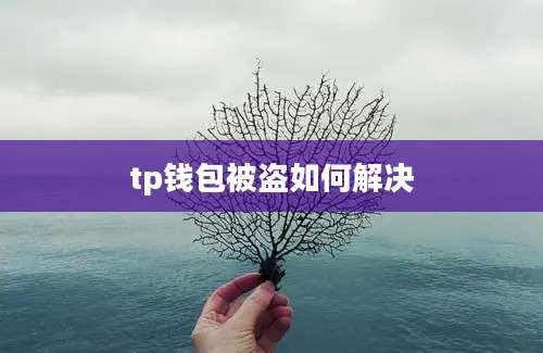 tp钱包被盗如何解决