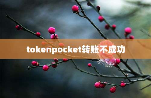 tokenpocket转账不成功