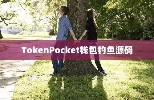 TokenPocket钱包钓鱼源码