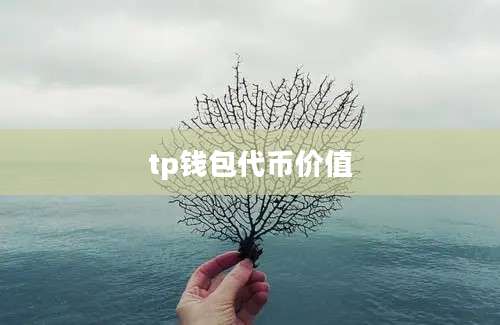 tp钱包代币价值