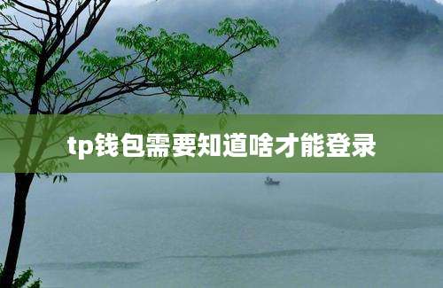 tp钱包需要知道啥才能登录