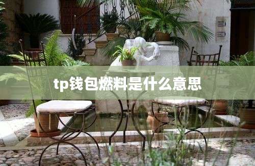 tp钱包燃料是什么意思