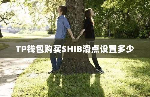 TP钱包购买SHIB滑点设置多少