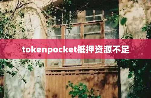 tokenpocket抵押资源不足