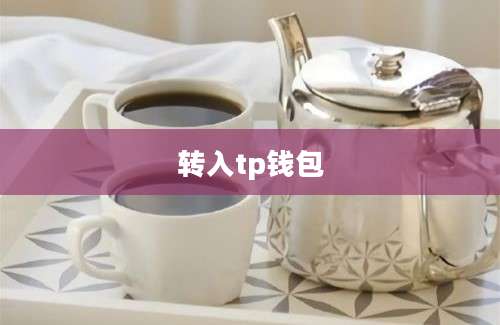 转入tp钱包