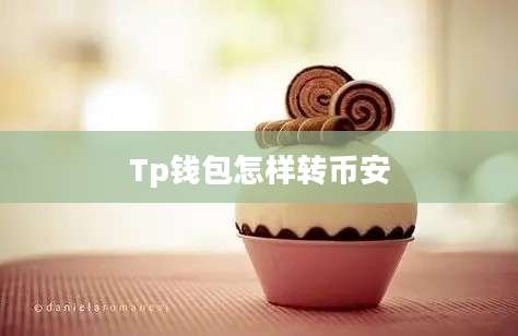 Tp钱包怎样转币安