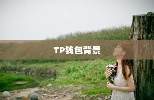 TP钱包背景
