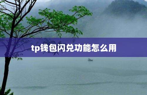 tp钱包闪兑功能怎么用