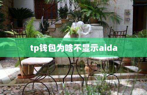 tp钱包为啥不显示aida