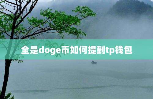 全是doge币如何提到tp钱包