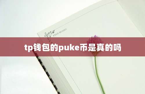 tp钱包的puke币是真的吗