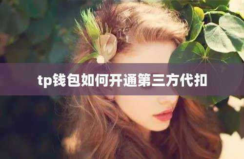 tp钱包如何开通第三方代扣
