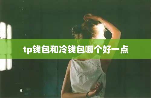 tp钱包和冷钱包哪个好一点
