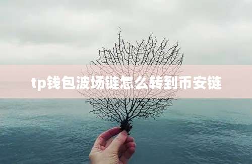 tp钱包波场链怎么转到币安链