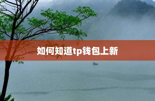 如何知道tp钱包上新
