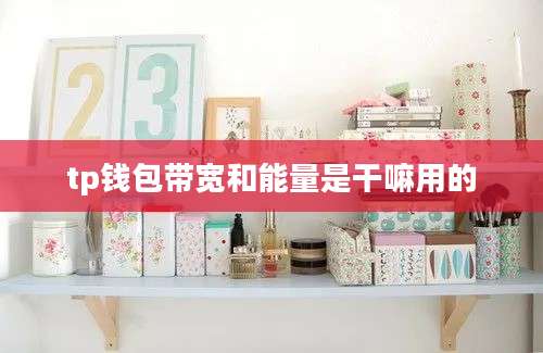 tp钱包带宽和能量是干嘛用的
