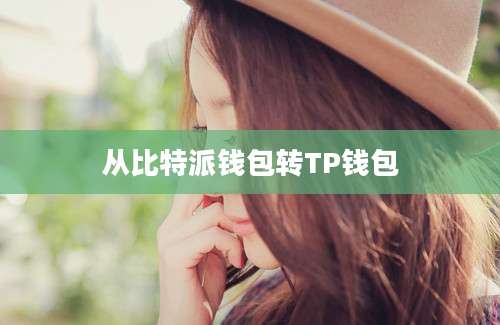 从比特派钱包转TP钱包