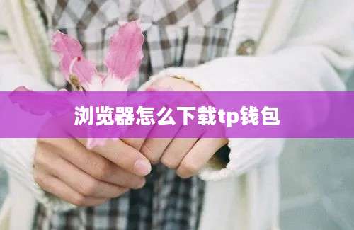 浏览器怎么下载tp钱包