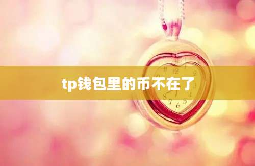 tp钱包里的币不在了