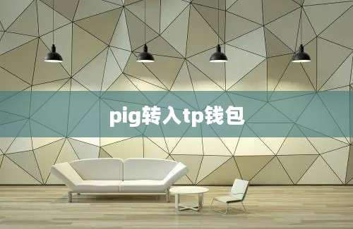 pig转入tp钱包