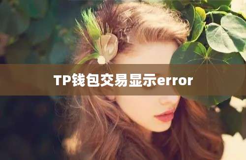 TP钱包交易显示error