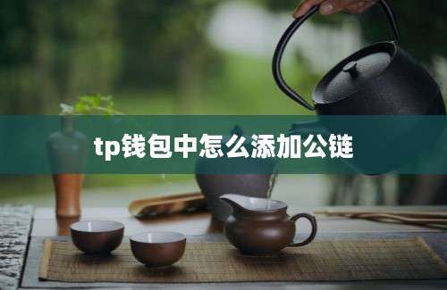 tp钱包中怎么添加公链