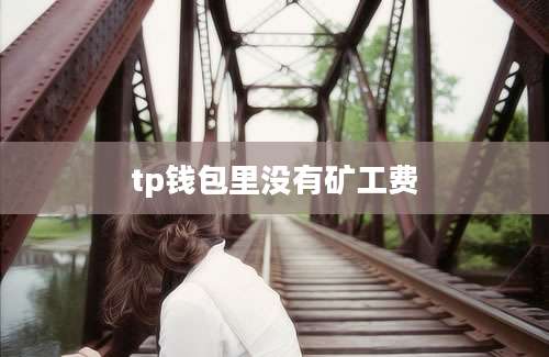 tp钱包里没有矿工费
