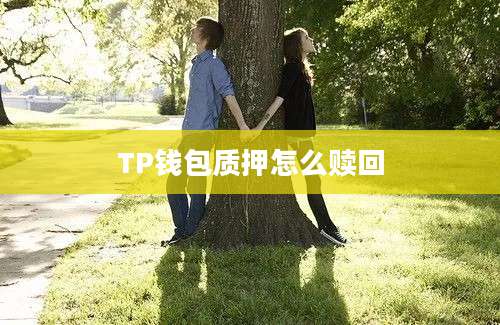 TP钱包质押怎么赎回