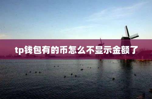 tp钱包有的币怎么不显示金额了
