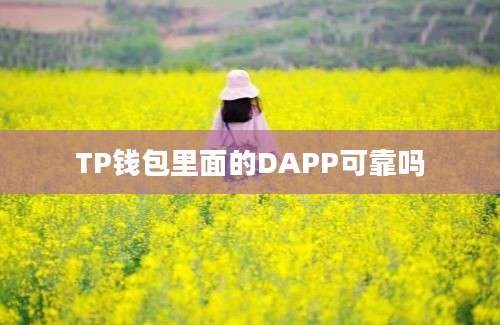 TP钱包里面的DAPP可靠吗