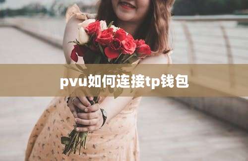 pvu如何连接tp钱包