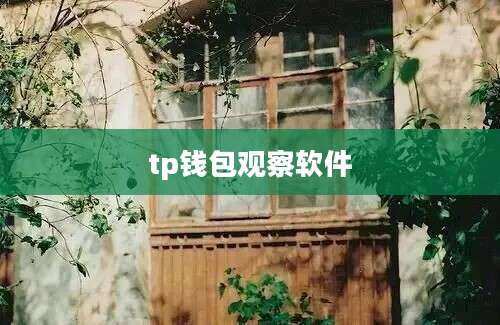 tp钱包观察软件