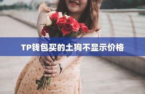 TP钱包买的土狗不显示价格