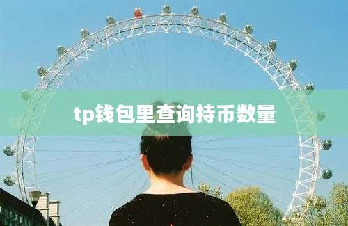 tp钱包里查询持币数量