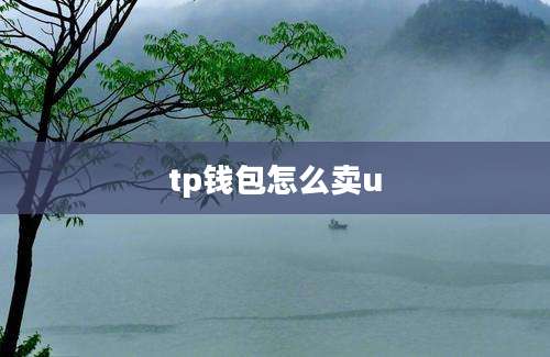 tp钱包怎么卖u