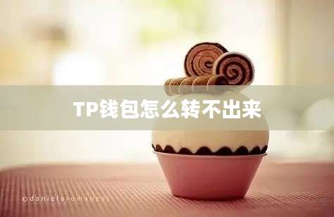 TP钱包怎么转不出来