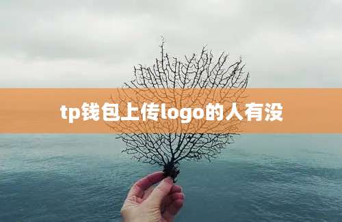 tp钱包上传logo的人有没
