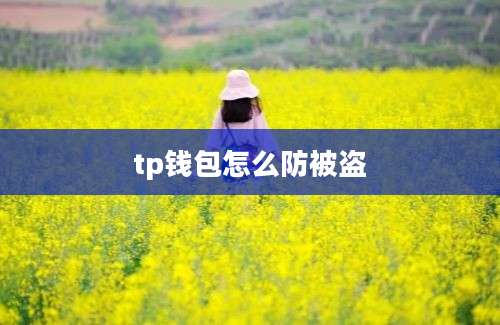 tp钱包怎么防被盗