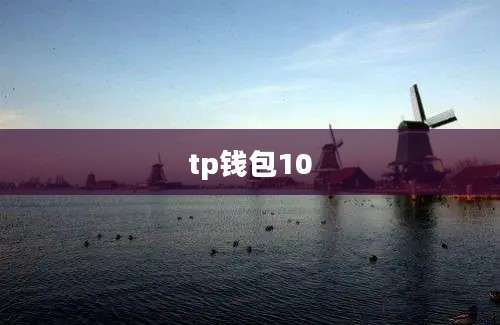 tp钱包10