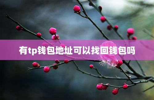 有tp钱包地址可以找回钱包吗